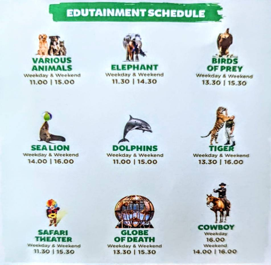 Taman Safari Indonesia Bogor 表演秀時間