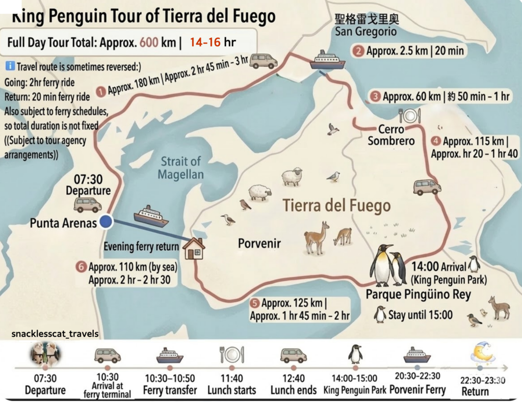 King Penguin tour of Tierra del Fuego