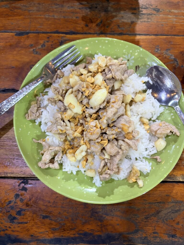 Ajam Mora Restaurant 蒜頭豬肉飯